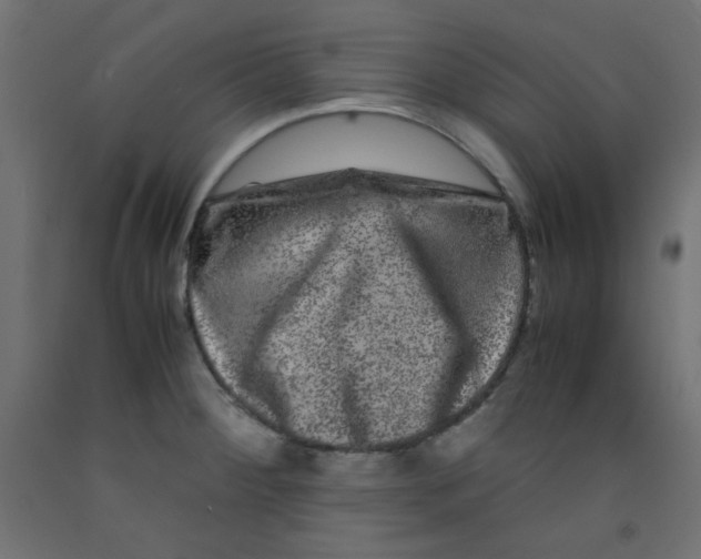 X0000092291284200710121426