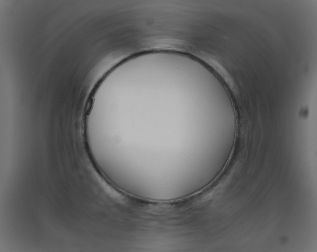 X0000092291285200710121426