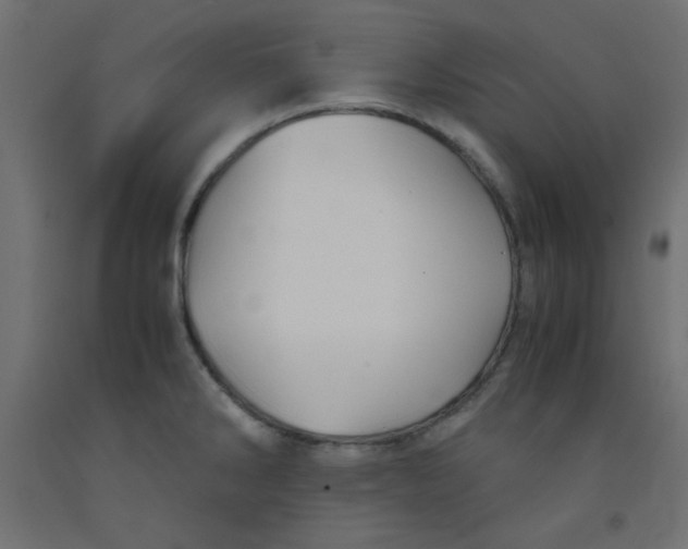 X0000092291286200710121426