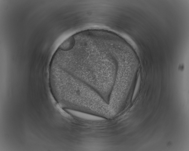 X0000092291287200710121426