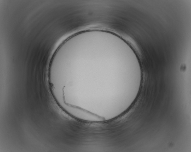 X0000092291288200710121426