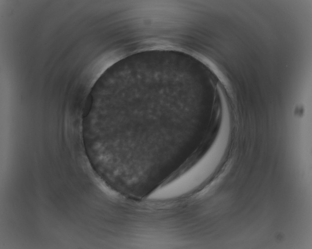 X0000092291289200710121426