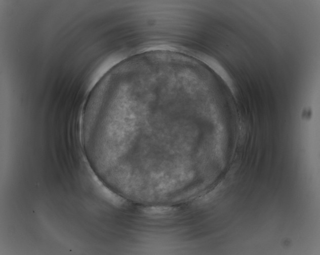 X0000092291290200710121426