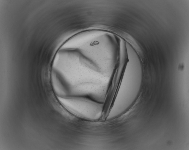 X0000092291292200710121426