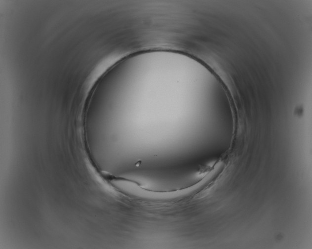 X0000092291293200710121426