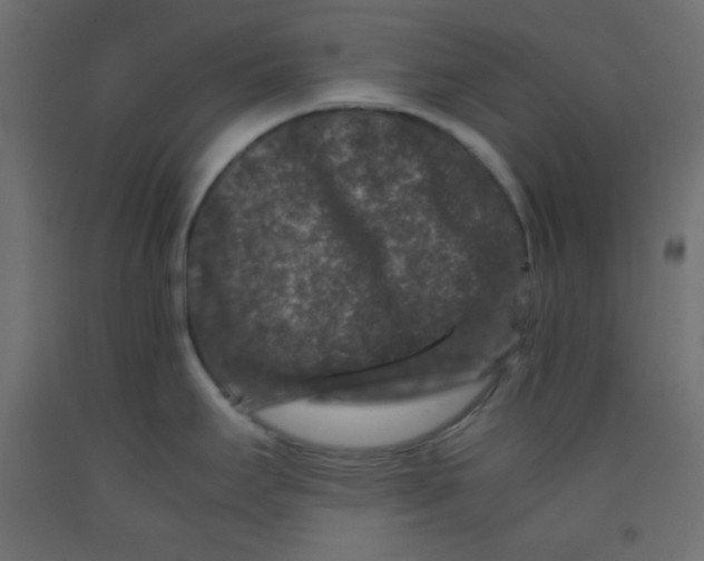 X0000092291295200710121426