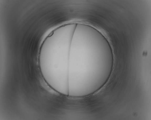 X0000092291296200710121426