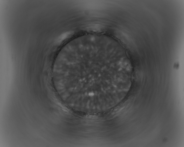 X0000092291297200710121426