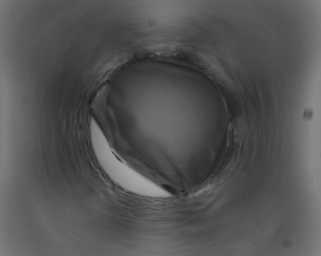 X0000092291298200710121426