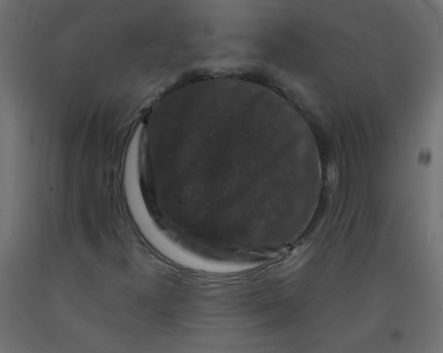 X0000092291300200710121426