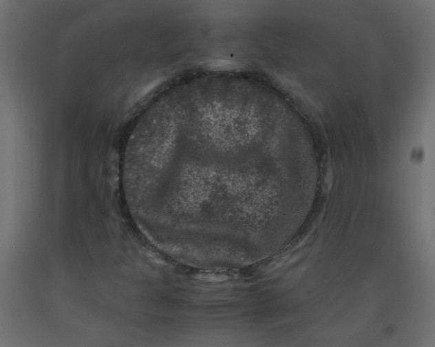 X0000092291301200710121426