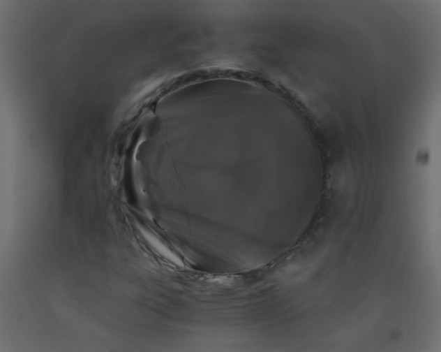 X0000092291303200710121426