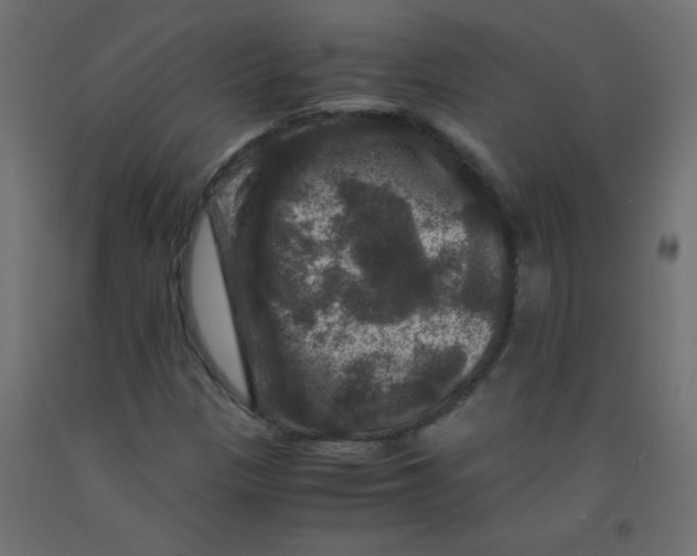 X0000092291305200710121426