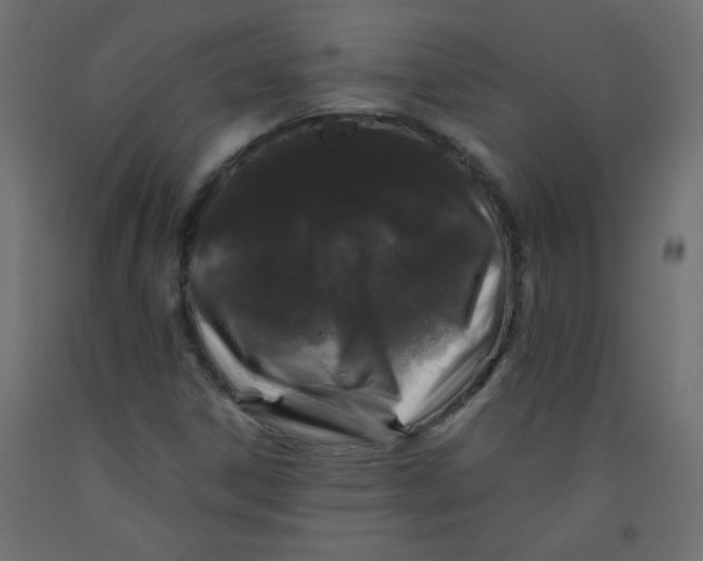 X0000092291306200710121426