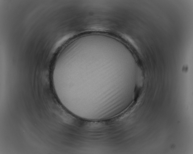 X0000092291307200710121426