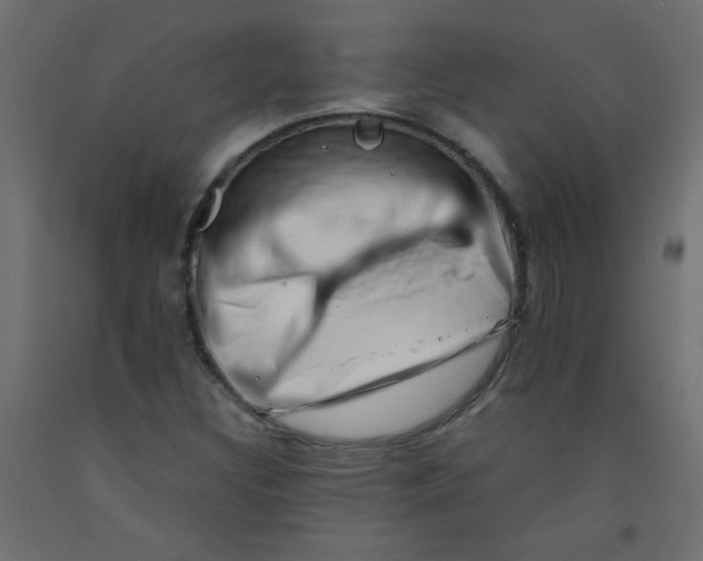 X0000092291308200710121426