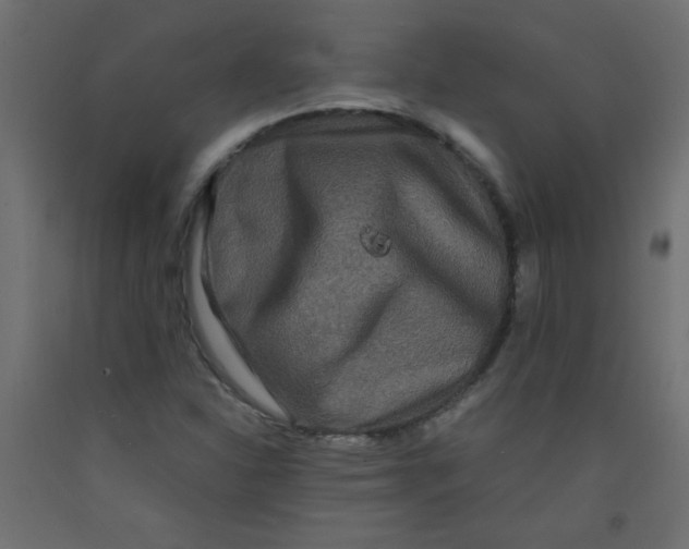 X0000092291310200710121426