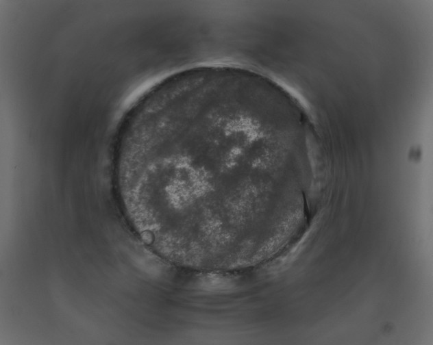 X0000092291311200710121426