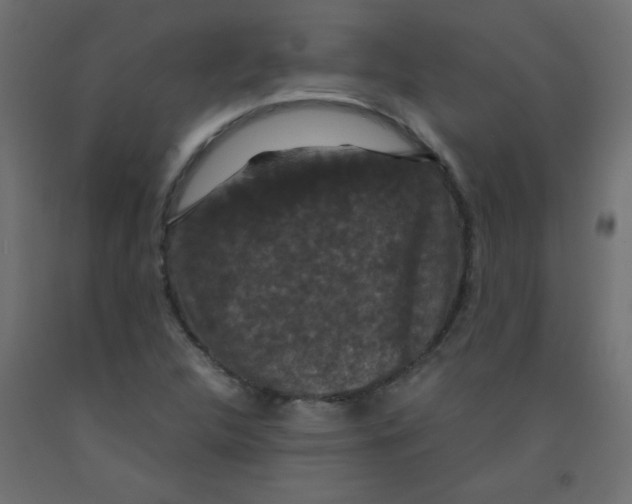 X0000092291312200710121426