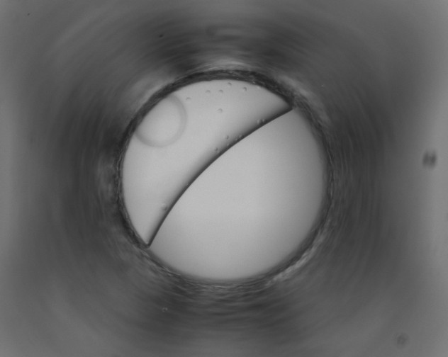 X0000092291313200710121426