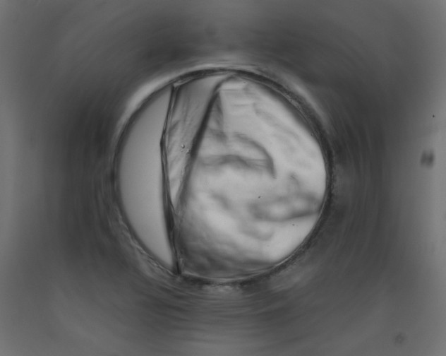 X0000092291320200710121426