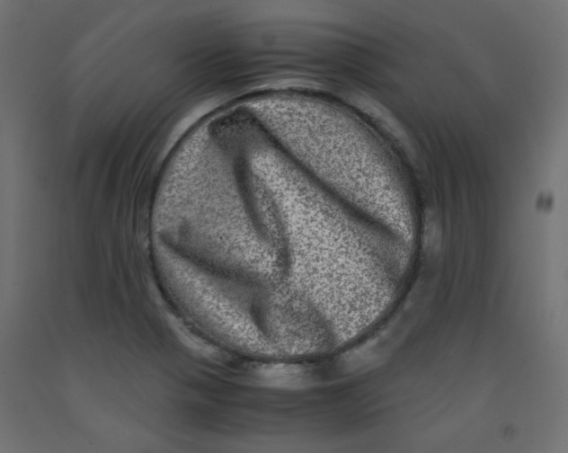 X0000092291321200710121426