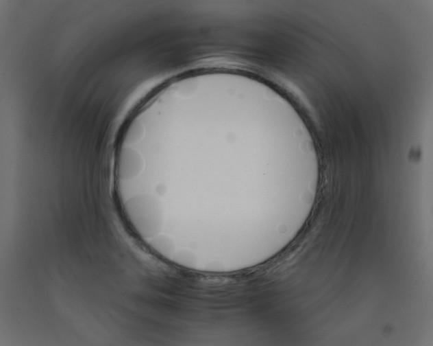 X0000092291323200710121426