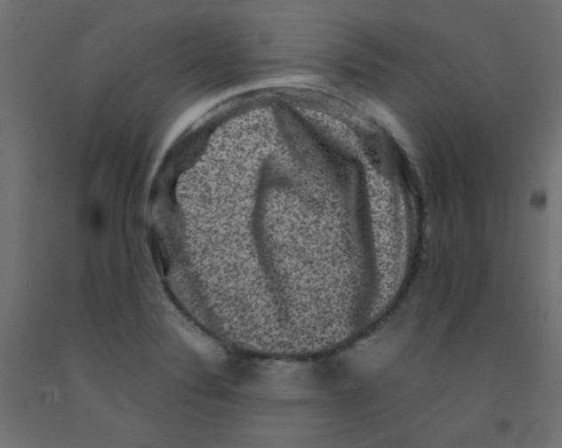 X0000092291324200710121426