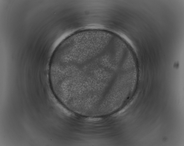 X0000092291325200710121426