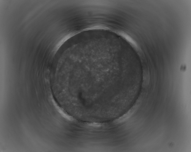 X0000092291329200710121426