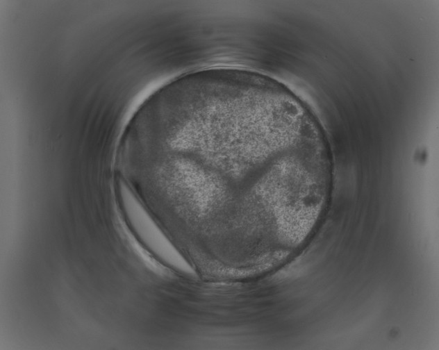 X0000092291333200710121426