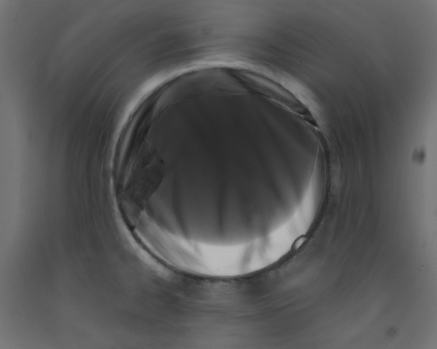 X0000092291334200710121426