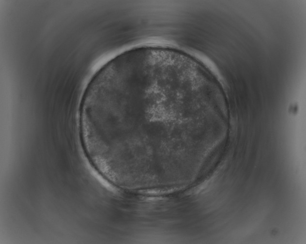 X0000092291335200710121426