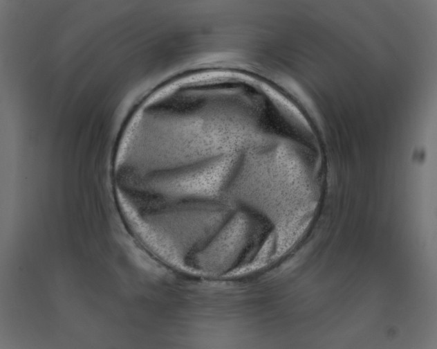 X0000092291336200710121426