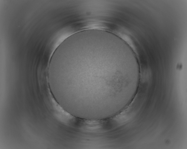 X0000092291338200710121426