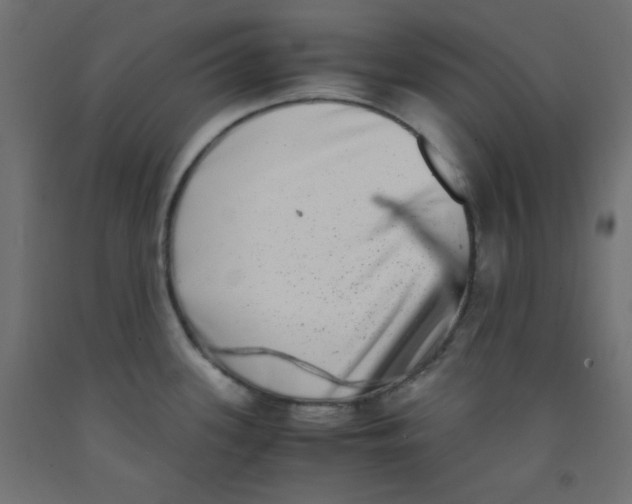 X0000092291339200710121426