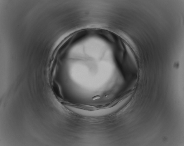 X0000092291340200710121426