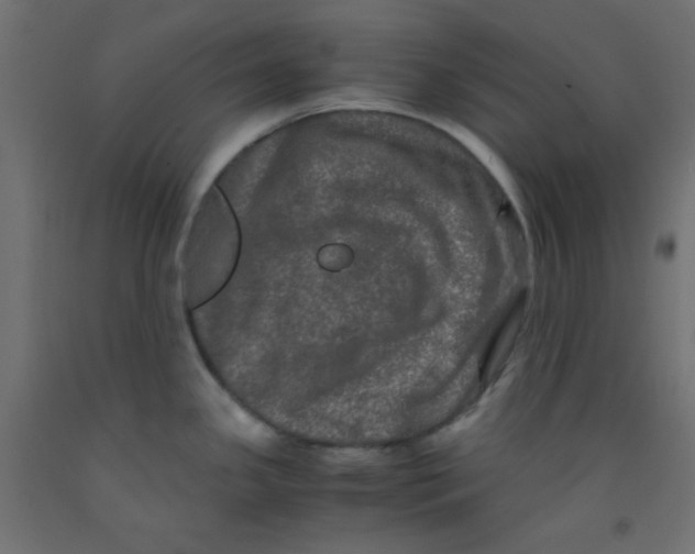 X0000092291341200710121426