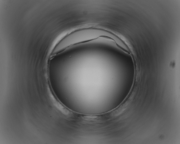 X0000092291342200710121426