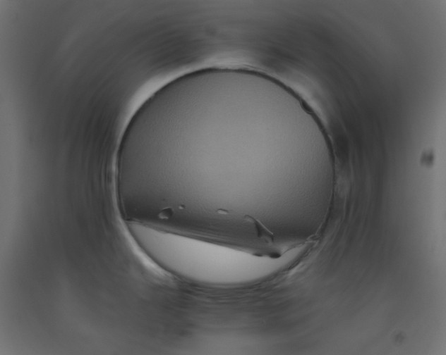 X0000092291343200710121426