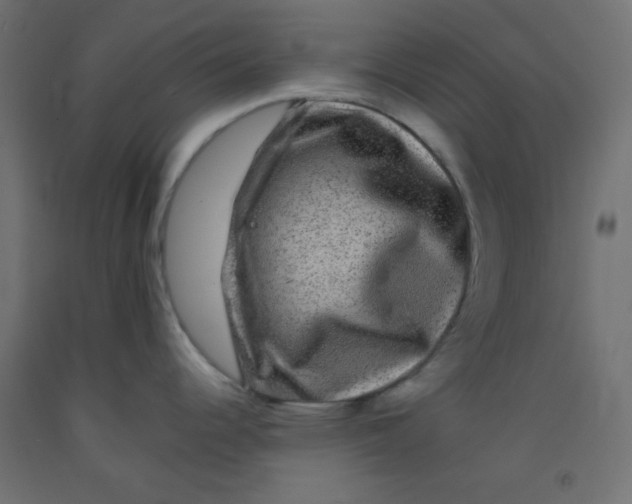 X0000092291344200710121426