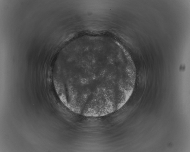 X0000092291346200710121426