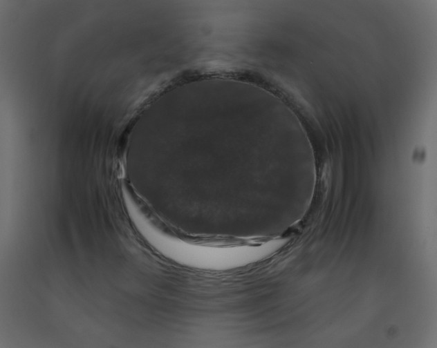 X0000092291348200710121426