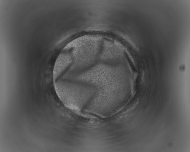 X0000092291350200710121426