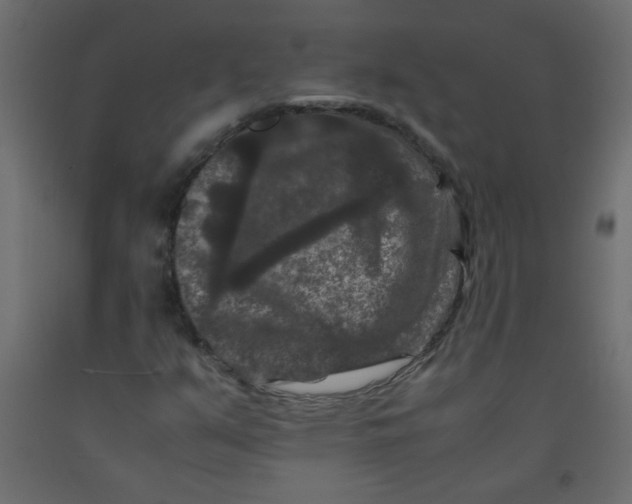 X0000092291351200710121426