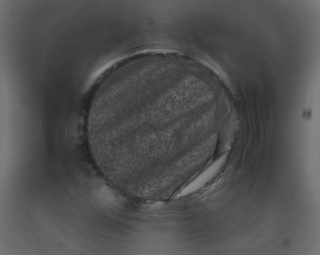 X0000092291352200710121426