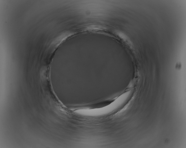 X0000092291353200710121426