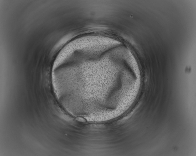 X0000092291354200710121426