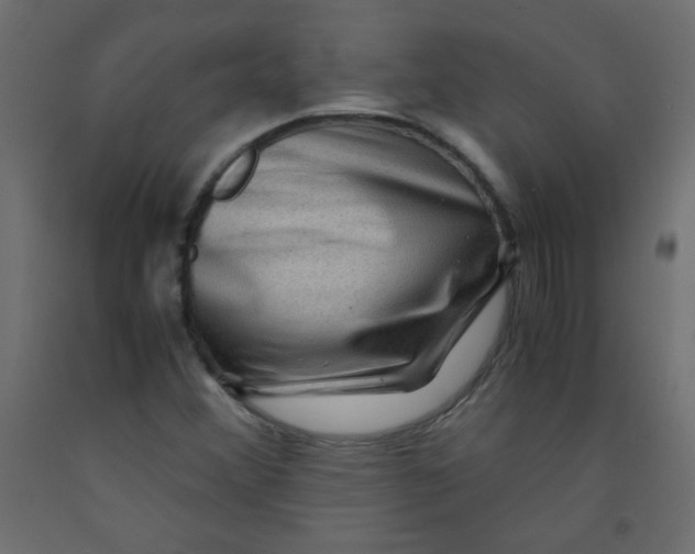 X0000092291356200710121425