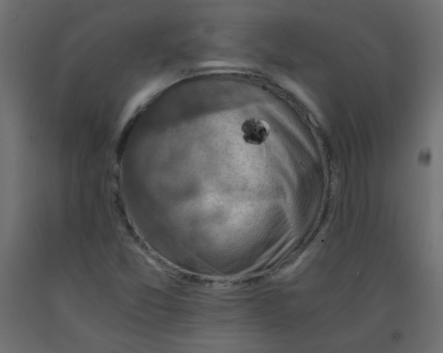 X0000092291357200710121425